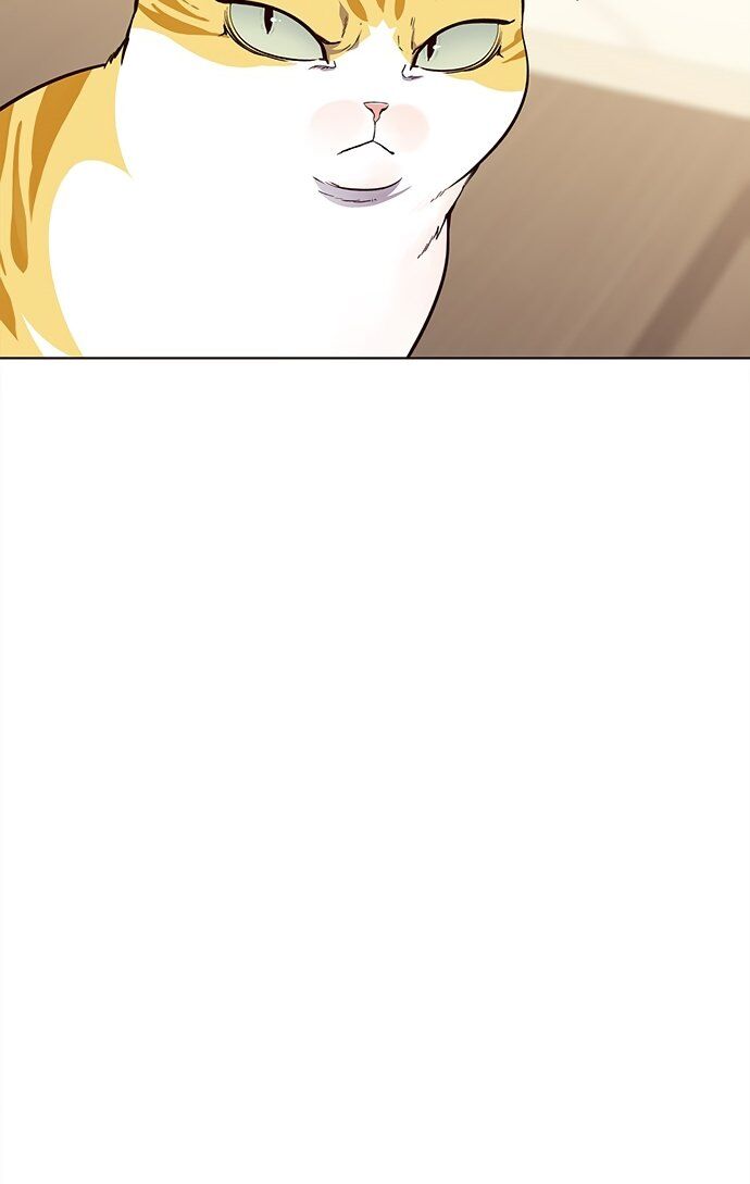 Hoá Thân Thành Mèo - Chapter 22 - Page 35