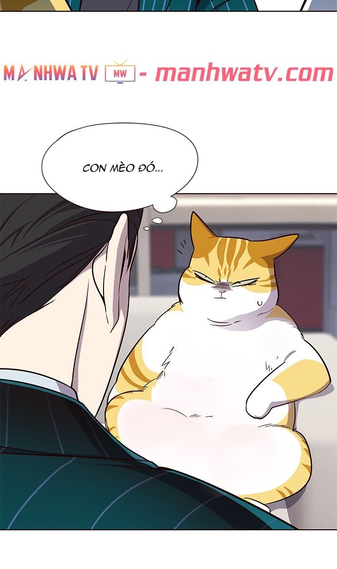Hoá Thân Thành Mèo - Chapter 22 - Page 71