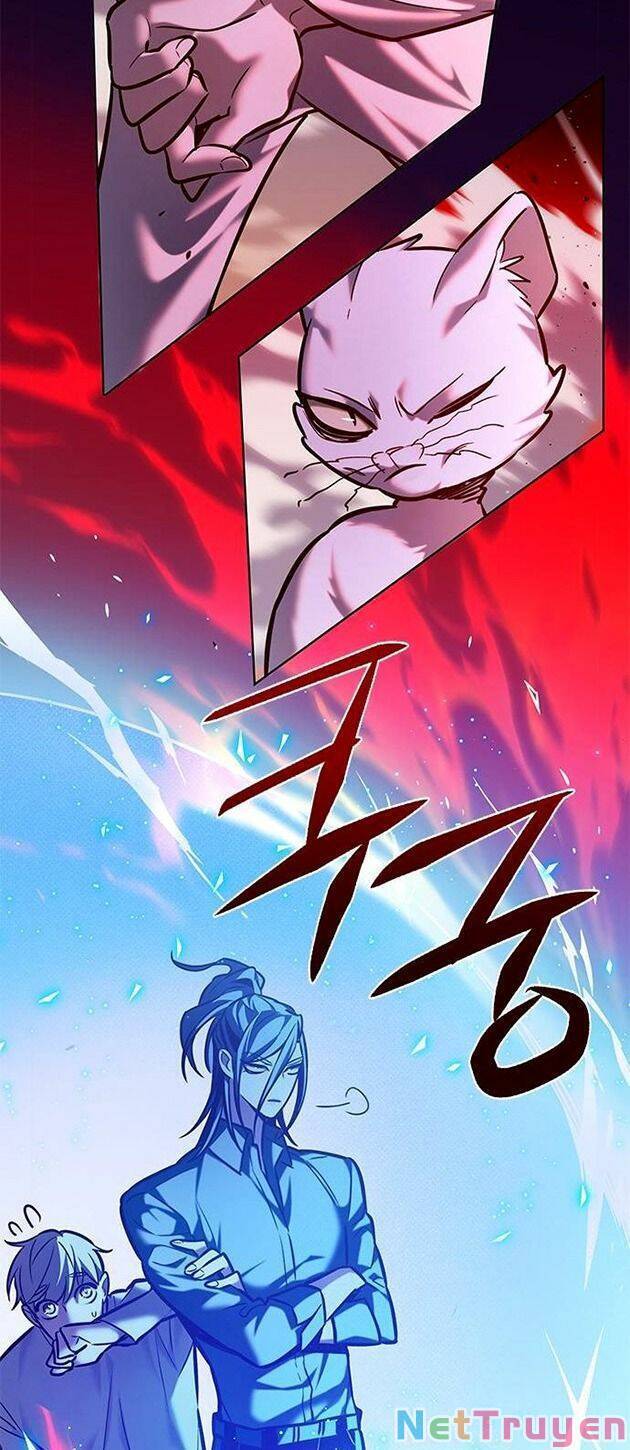 Hoá Thân Thành Mèo - Chapter 221 - Page 22