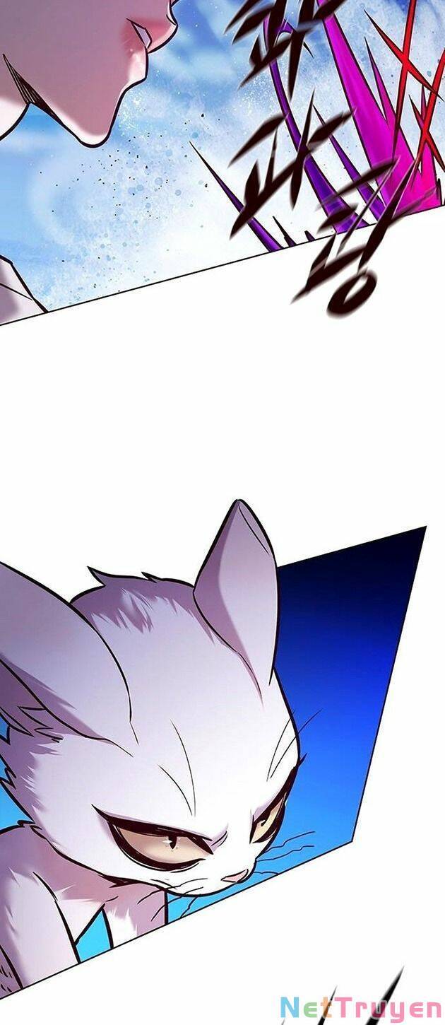 Hoá Thân Thành Mèo - Chapter 221 - Page 40