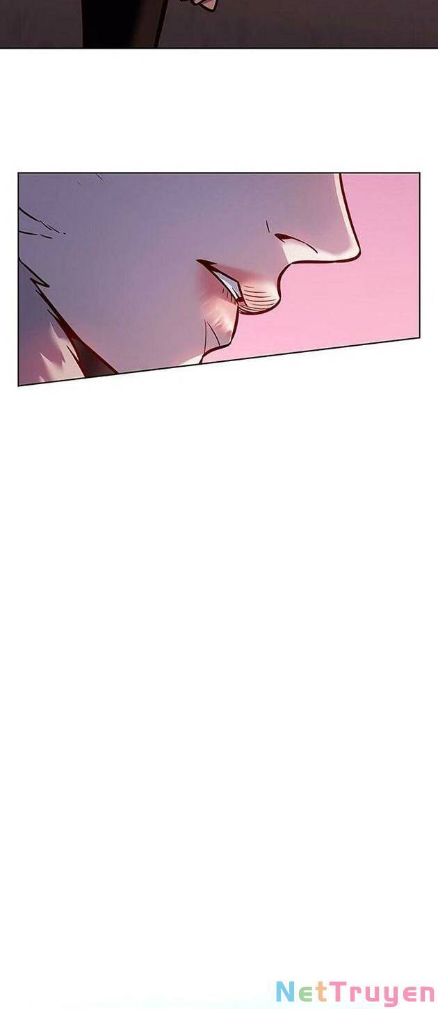 Hoá Thân Thành Mèo - Chapter 222 - Page 52