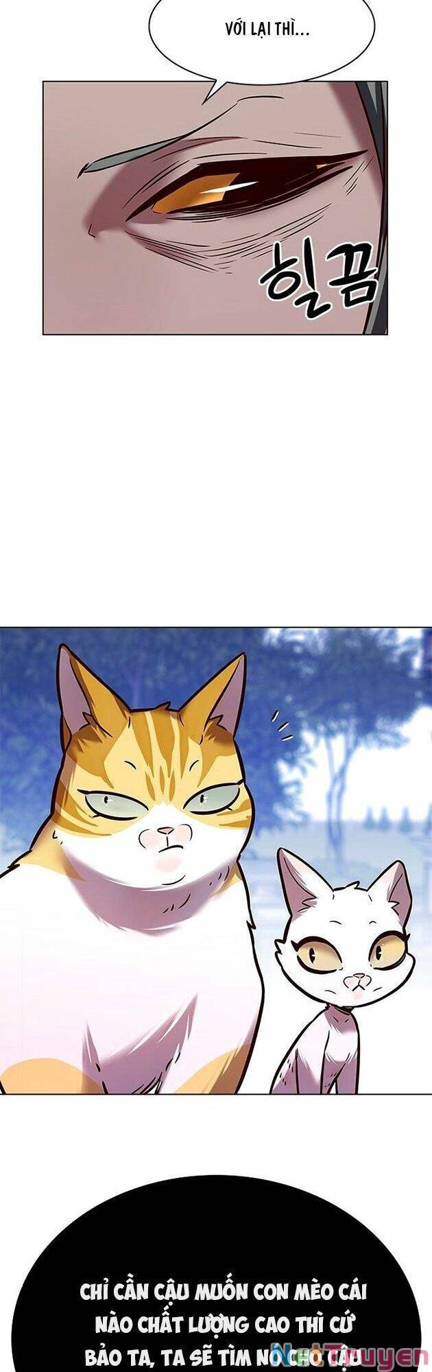 Hoá Thân Thành Mèo - Chapter 222 - Page 62