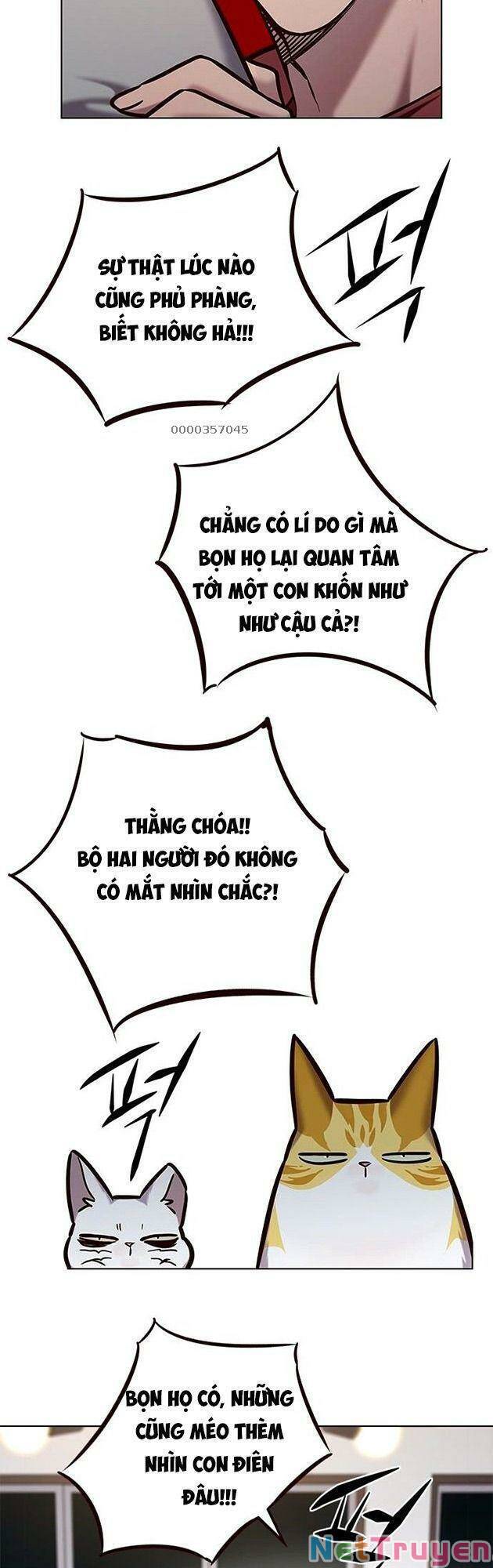 Hoá Thân Thành Mèo - Chapter 223 - Page 30