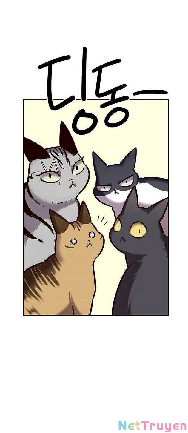 Hoá Thân Thành Mèo - Chapter 223 - Page 32