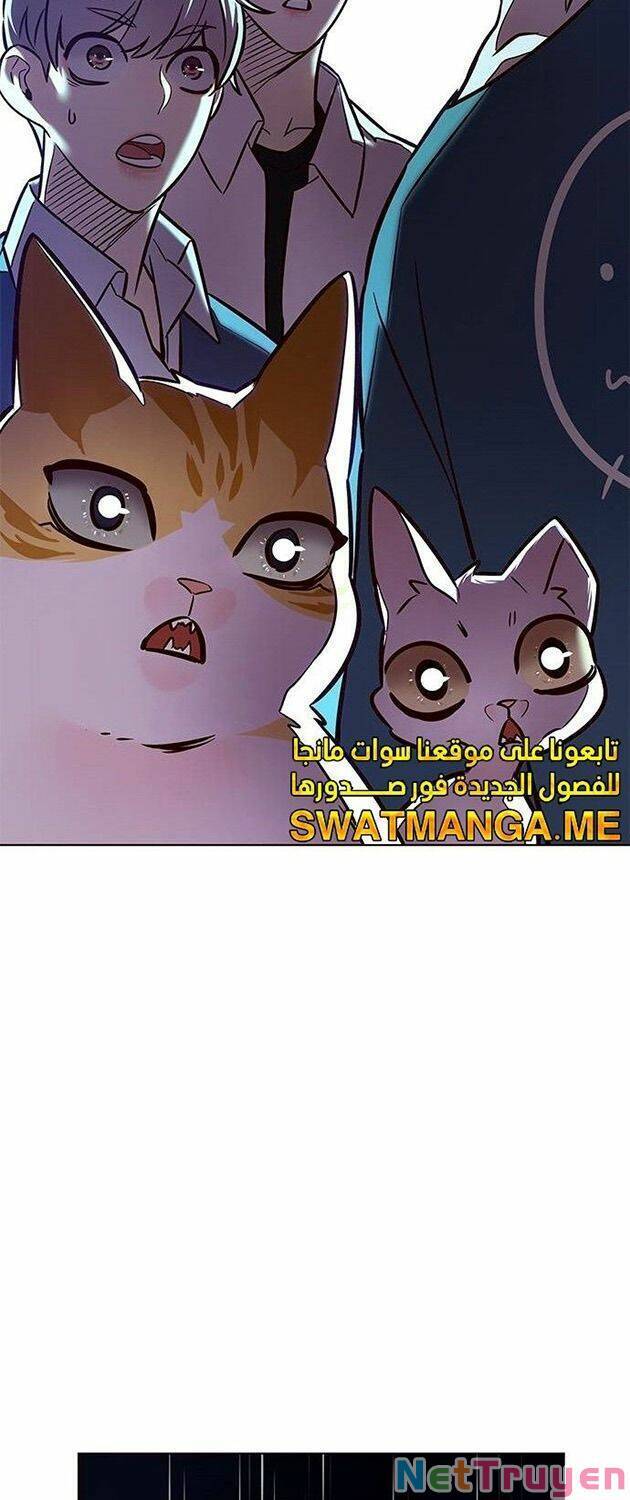 Hoá Thân Thành Mèo - Chapter 223 - Page 67