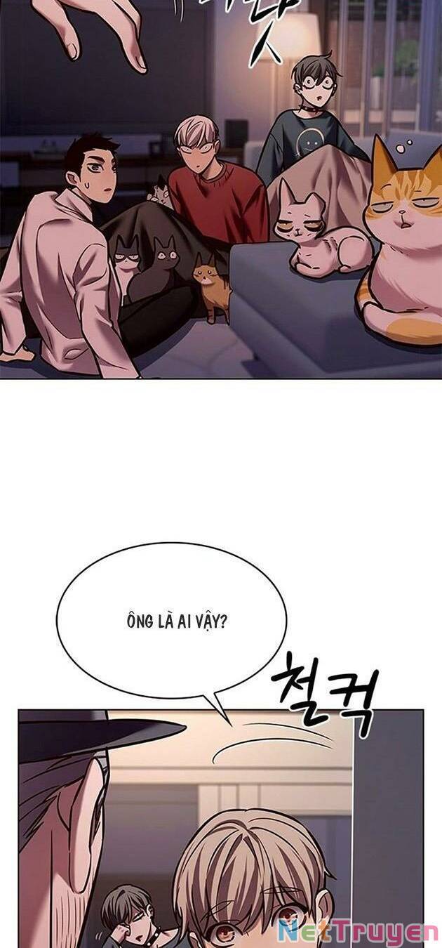 Hoá Thân Thành Mèo - Chapter 224 - Page 5