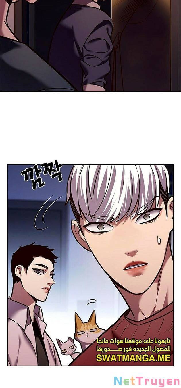 Hoá Thân Thành Mèo - Chapter 224 - Page 8