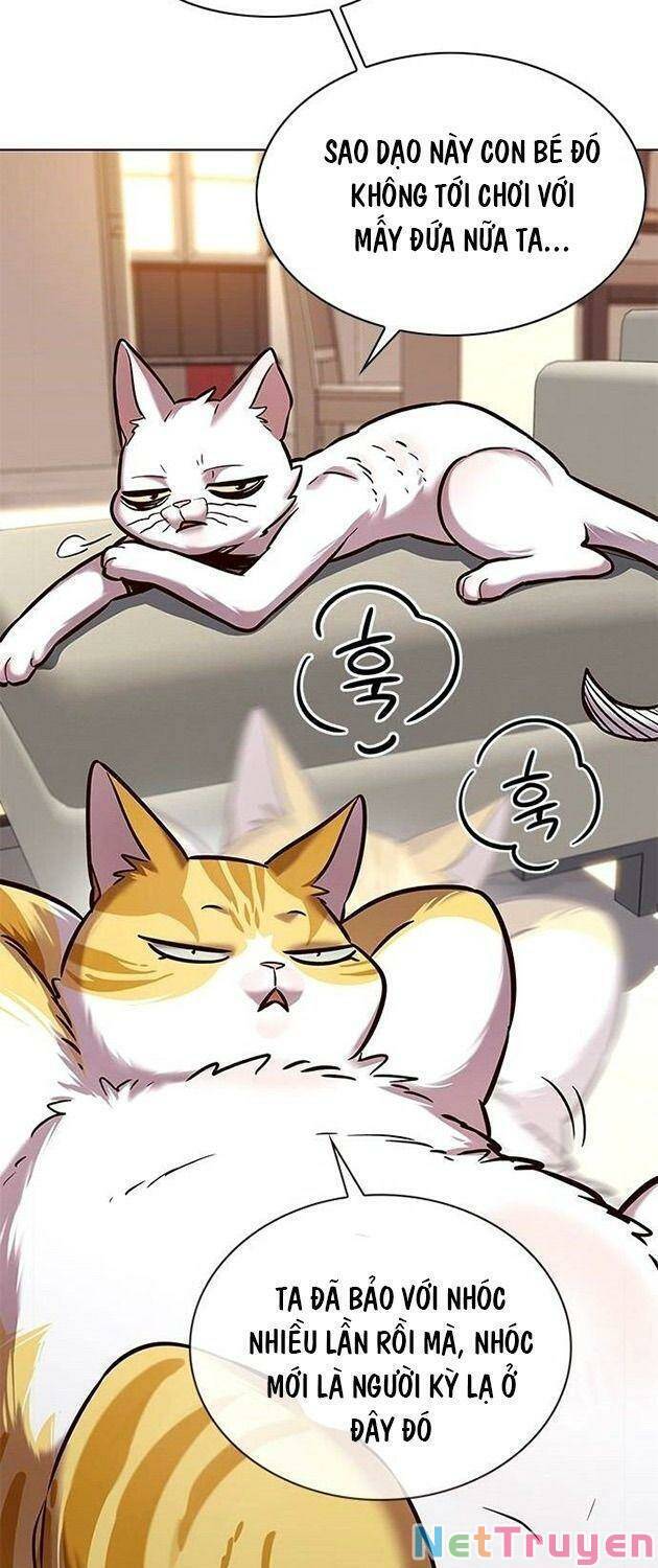 Hoá Thân Thành Mèo - Chapter 225 - Page 40