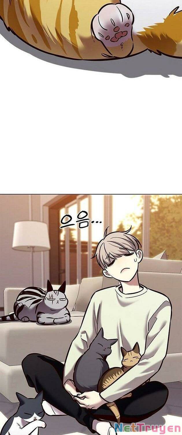 Hoá Thân Thành Mèo - Chapter 225 - Page 41