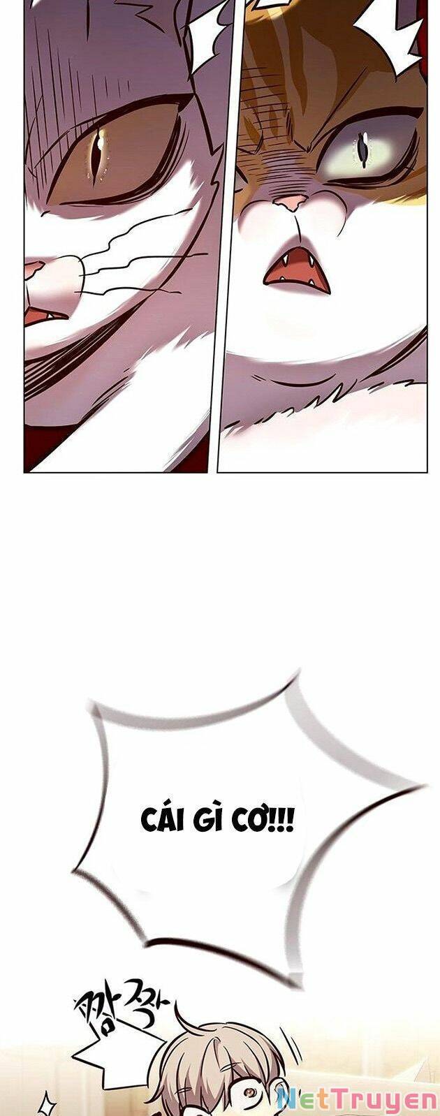 Hoá Thân Thành Mèo - Chapter 225 - Page 43
