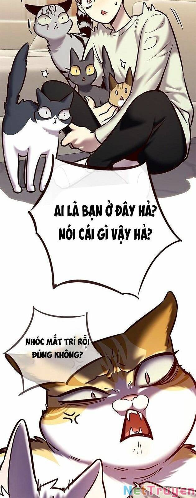 Hoá Thân Thành Mèo - Chapter 225 - Page 44