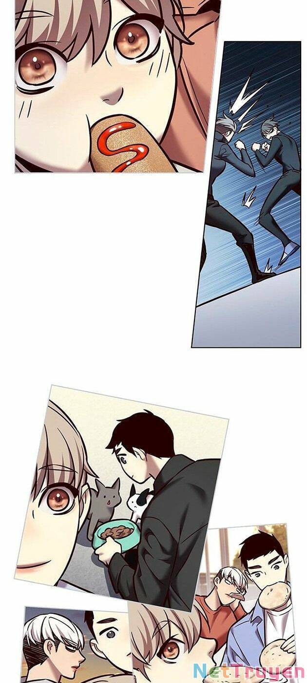 Hoá Thân Thành Mèo - Chapter 225 - Page 55