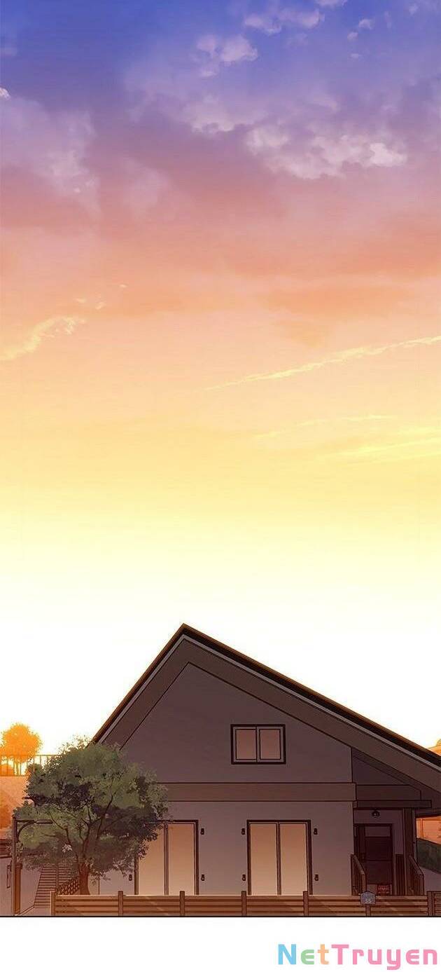 Hoá Thân Thành Mèo - Chapter 226 - Page 49