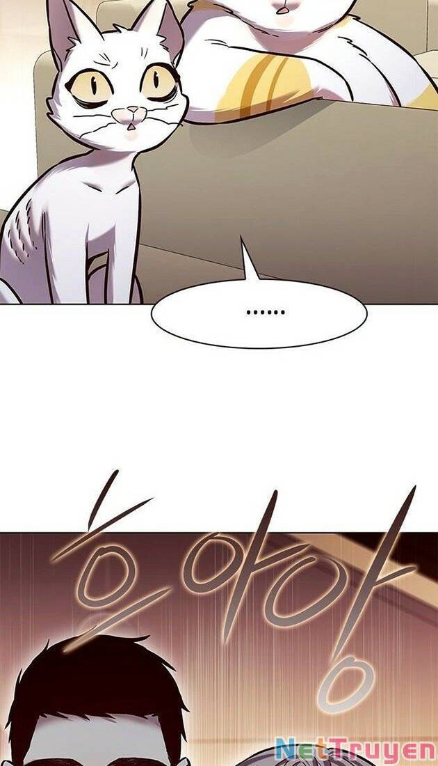 Hoá Thân Thành Mèo - Chapter 226 - Page 76