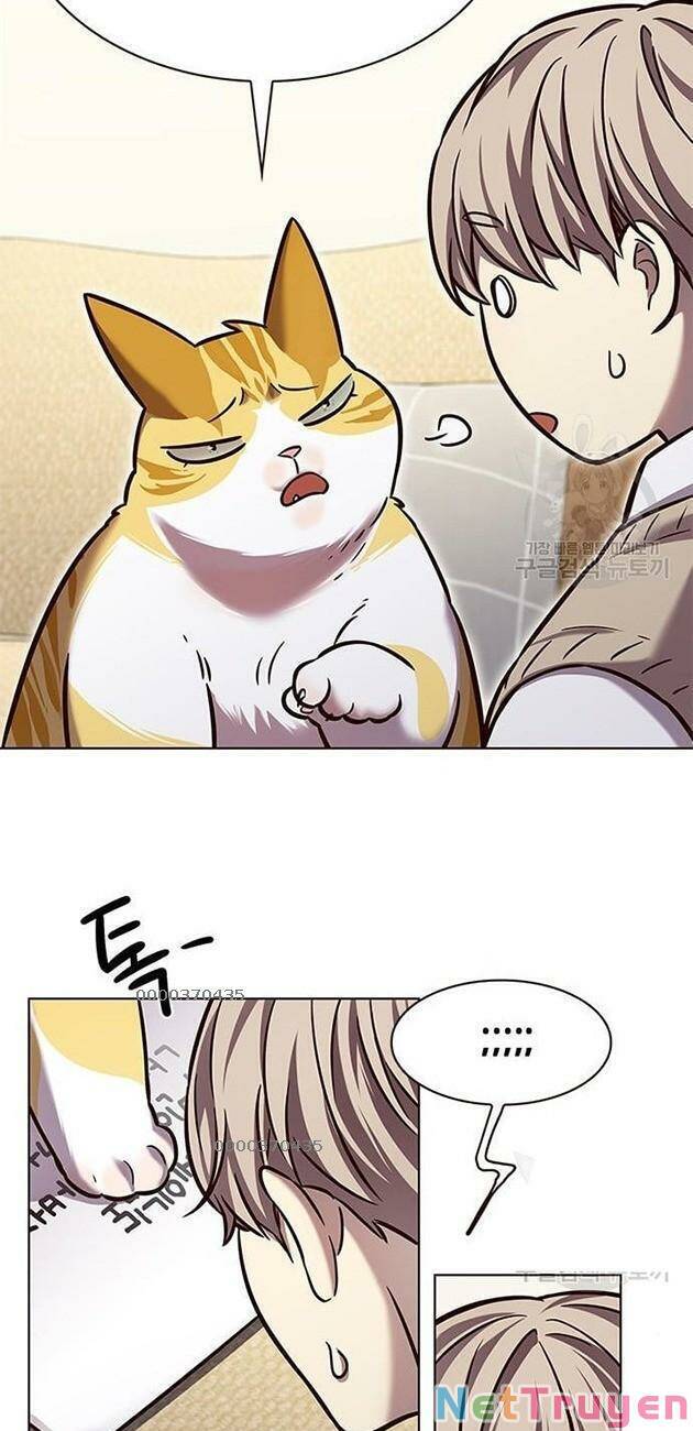 Hoá Thân Thành Mèo - Chapter 228 - Page 16