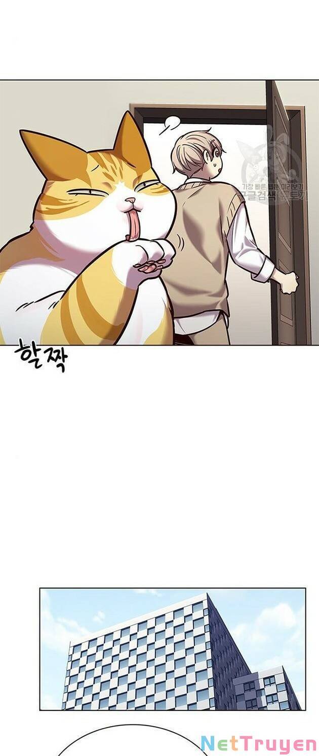 Hoá Thân Thành Mèo - Chapter 228 - Page 22