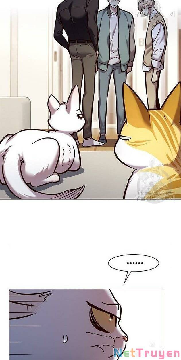 Hoá Thân Thành Mèo - Chapter 228 - Page 3