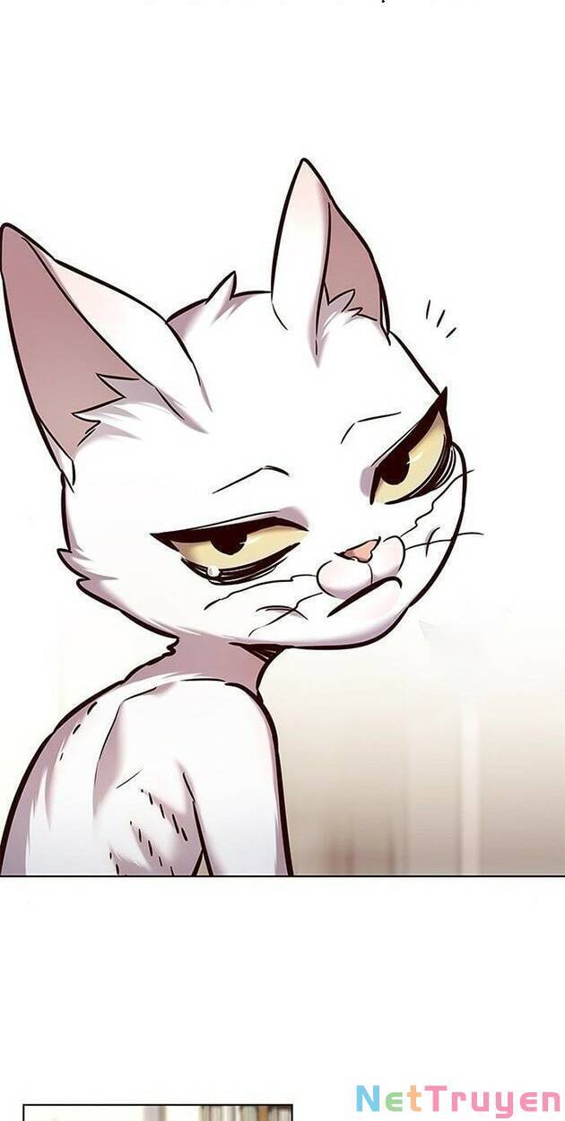 Hoá Thân Thành Mèo - Chapter 228 - Page 7