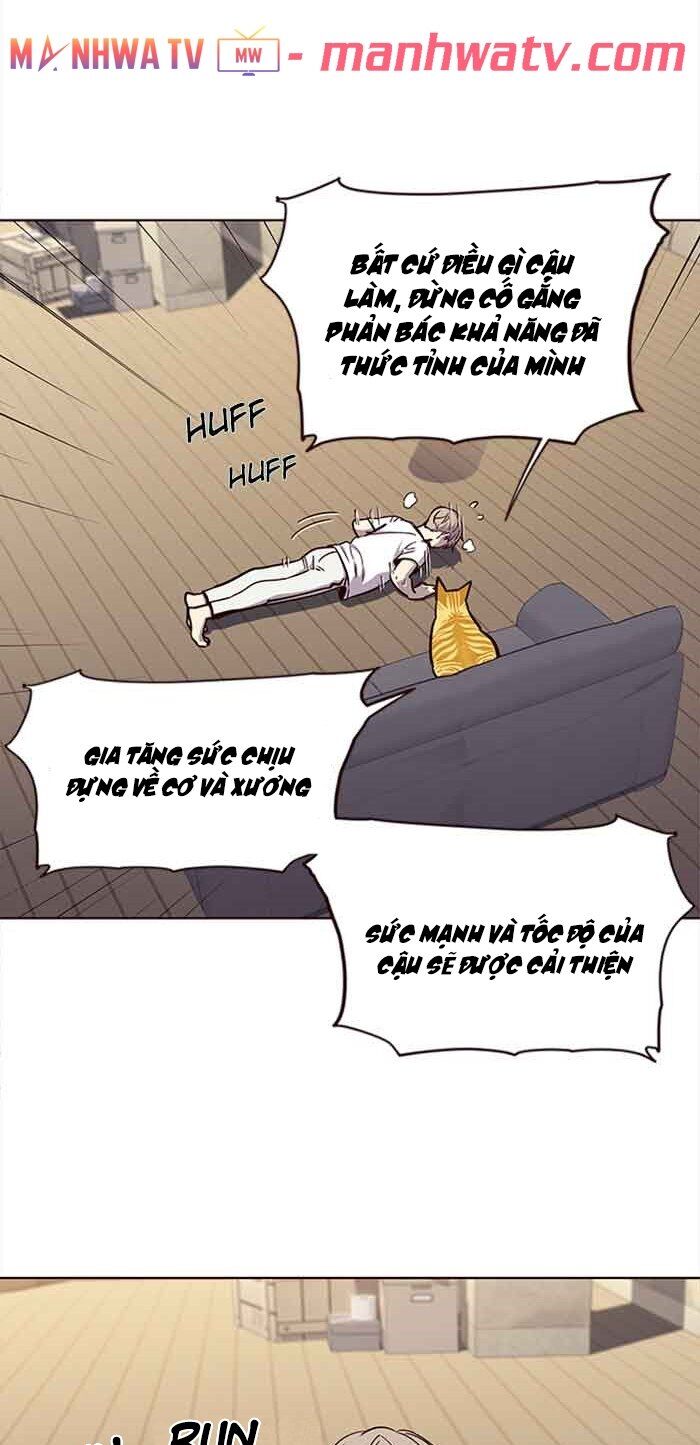 Hoá Thân Thành Mèo - Chapter 23 - Page 18