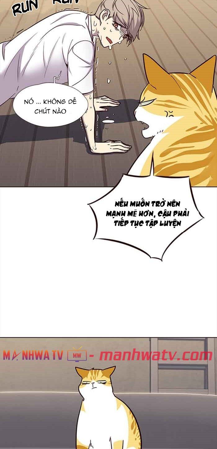 Hoá Thân Thành Mèo - Chapter 23 - Page 19