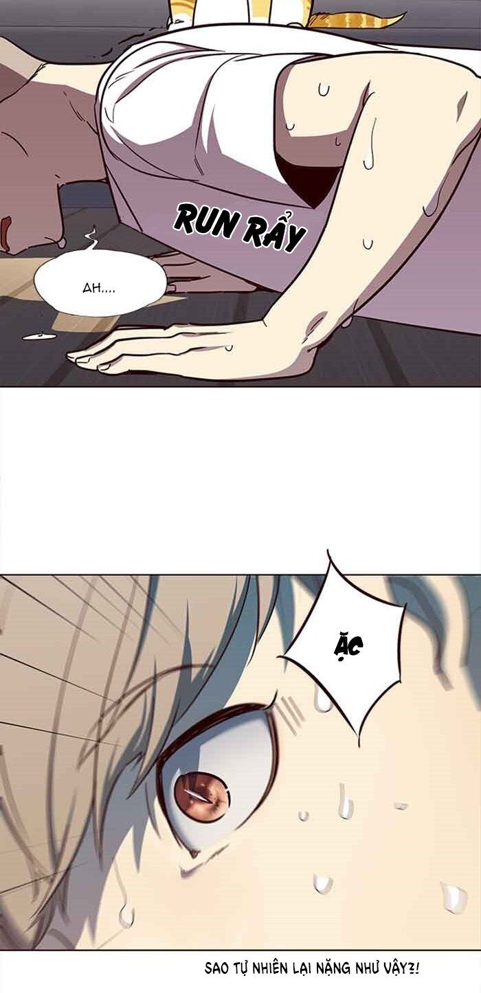 Hoá Thân Thành Mèo - Chapter 23 - Page 20
