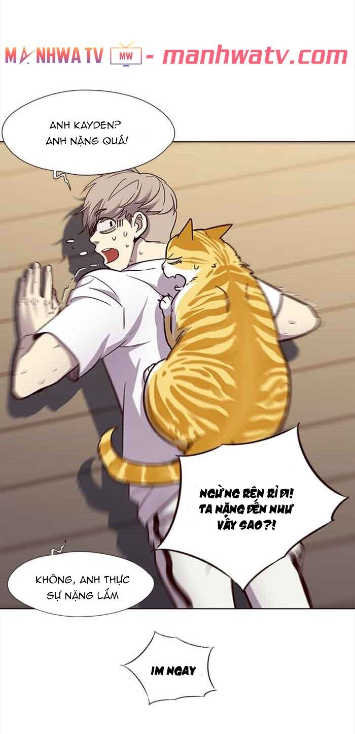 Hoá Thân Thành Mèo - Chapter 23 - Page 21
