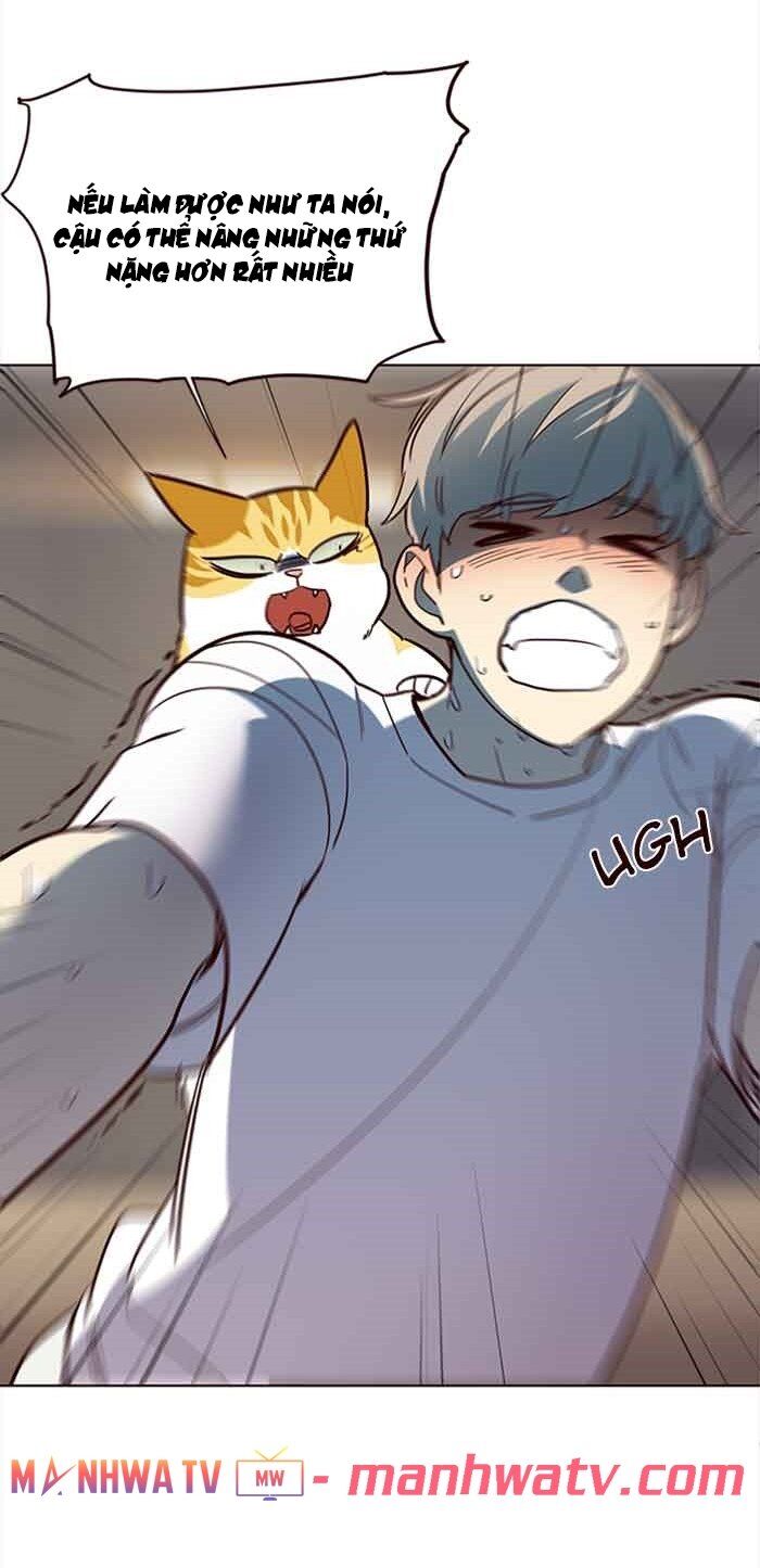 Hoá Thân Thành Mèo - Chapter 23 - Page 22