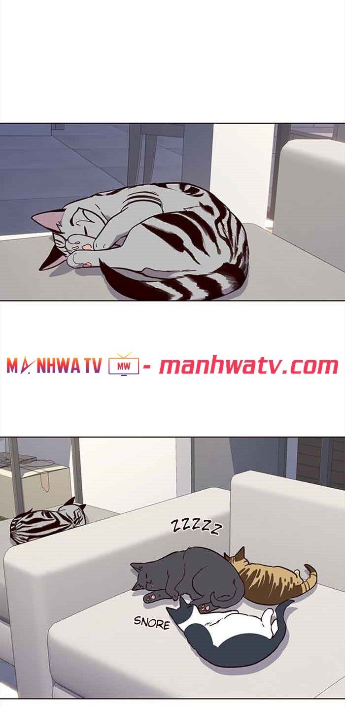 Hoá Thân Thành Mèo - Chapter 23 - Page 29