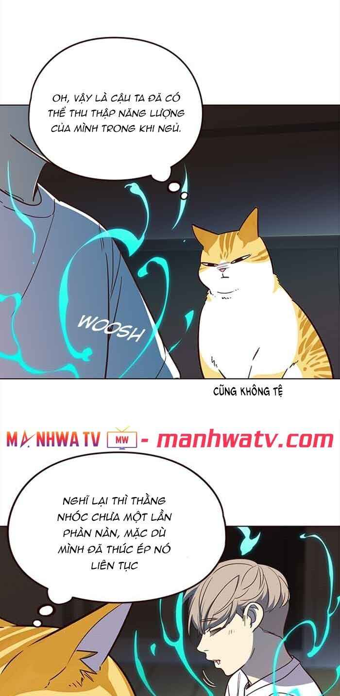 Hoá Thân Thành Mèo - Chapter 23 - Page 33