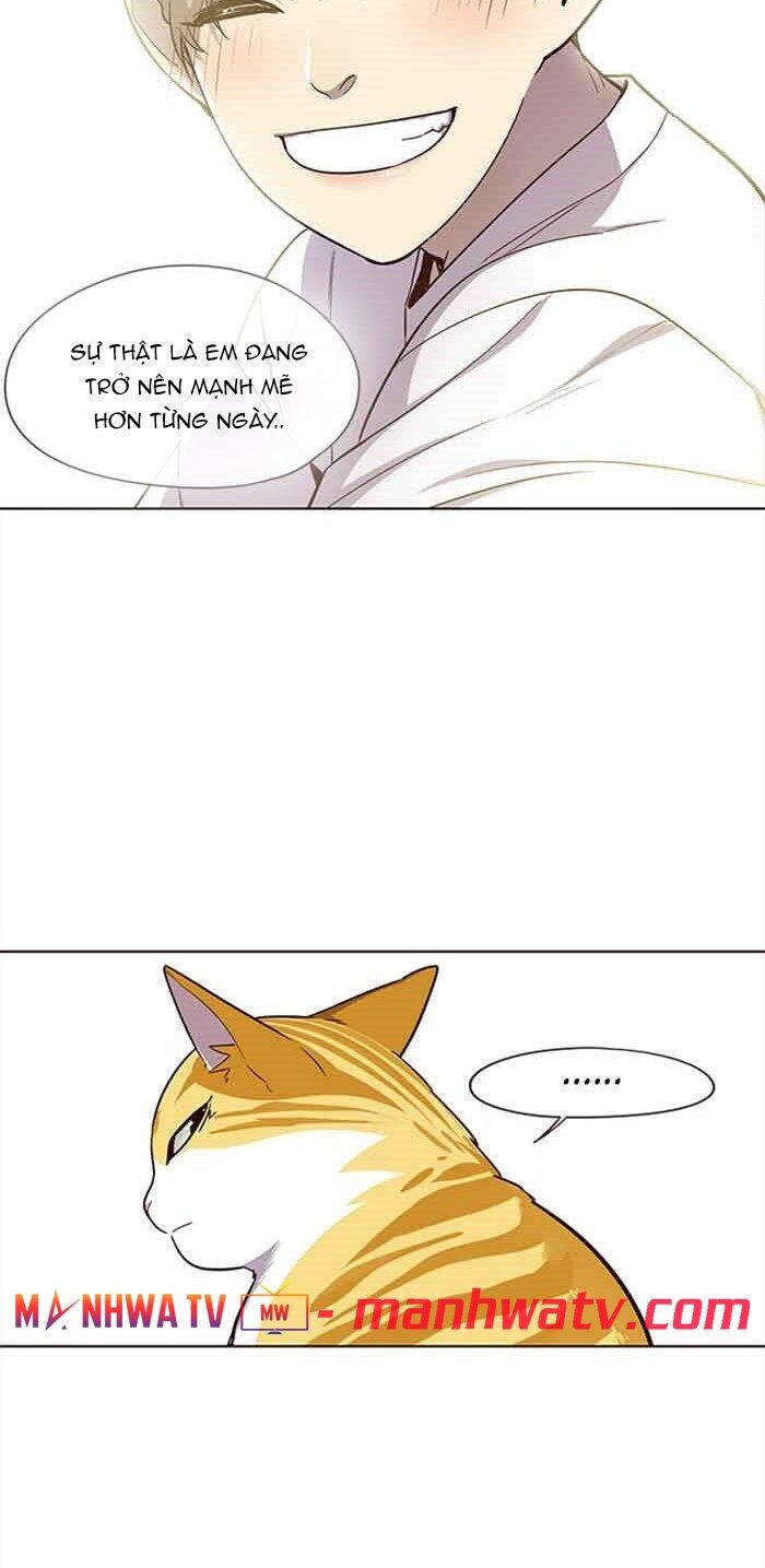 Hoá Thân Thành Mèo - Chapter 23 - Page 41