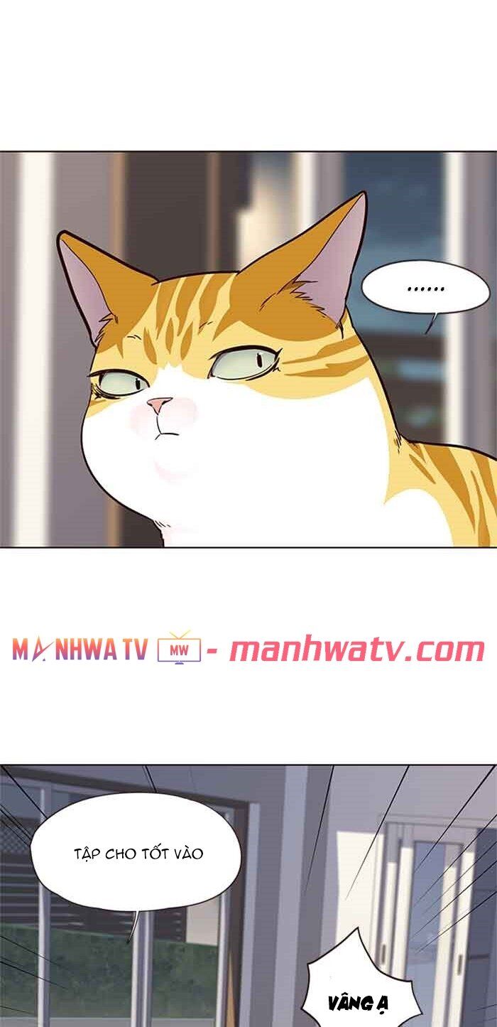 Hoá Thân Thành Mèo - Chapter 23 - Page 45