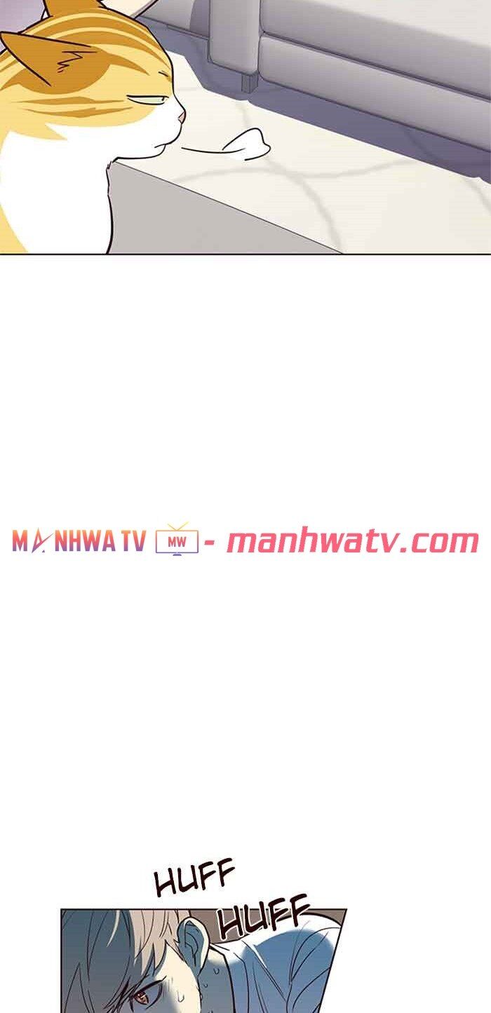 Hoá Thân Thành Mèo - Chapter 23 - Page 47