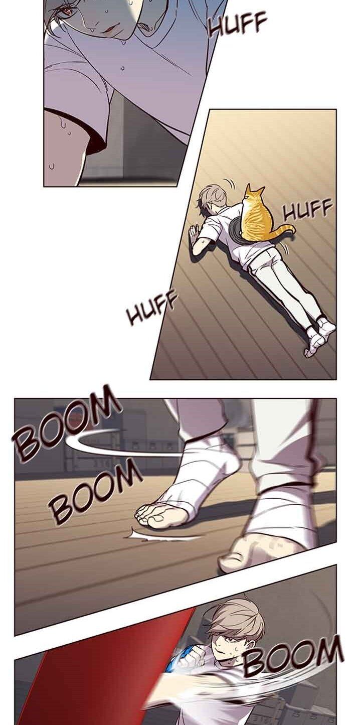 Hoá Thân Thành Mèo - Chapter 23 - Page 48