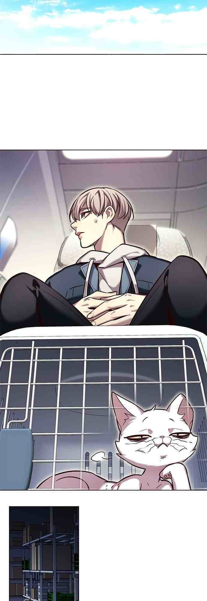 Hoá Thân Thành Mèo - Chapter 231 - Page 19