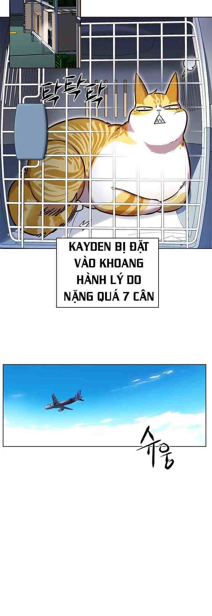 Hoá Thân Thành Mèo - Chapter 231 - Page 20