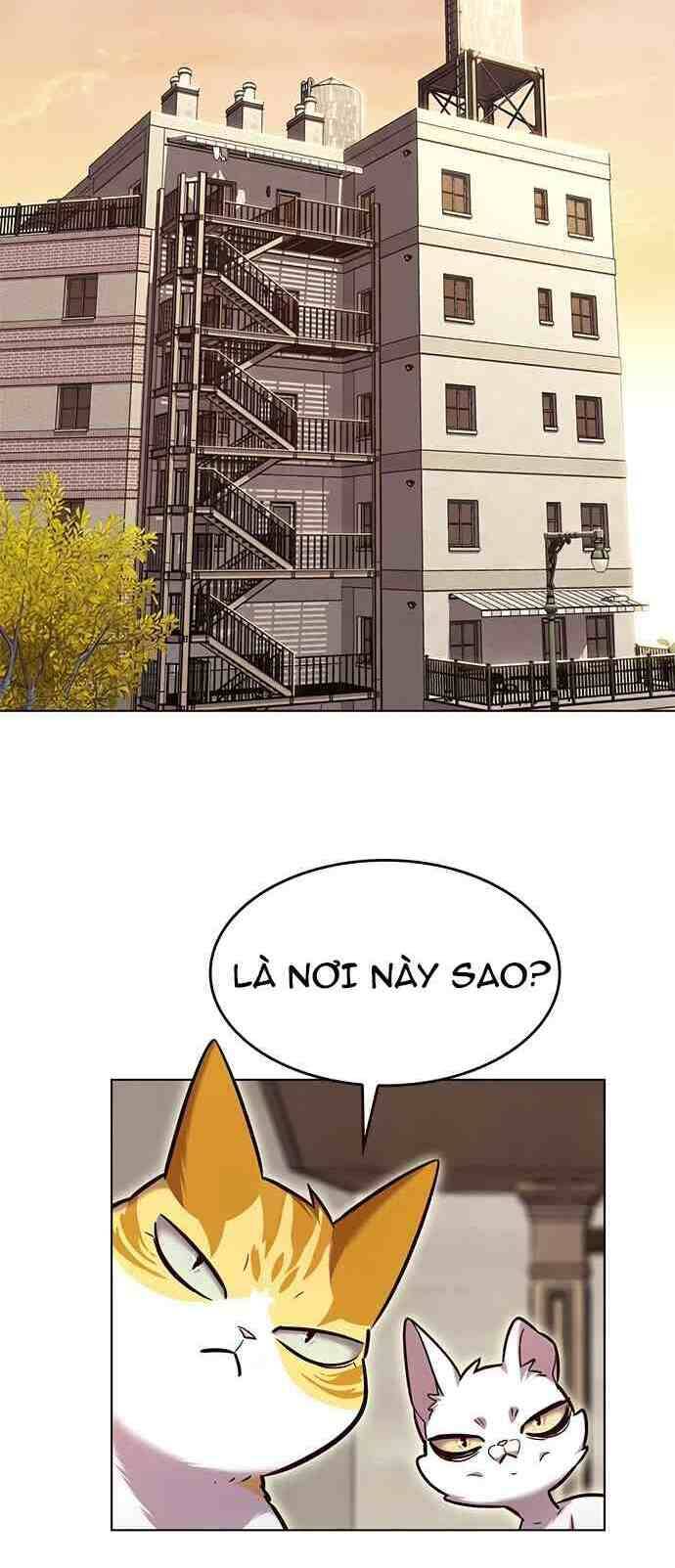 Hoá Thân Thành Mèo - Chapter 231 - Page 22