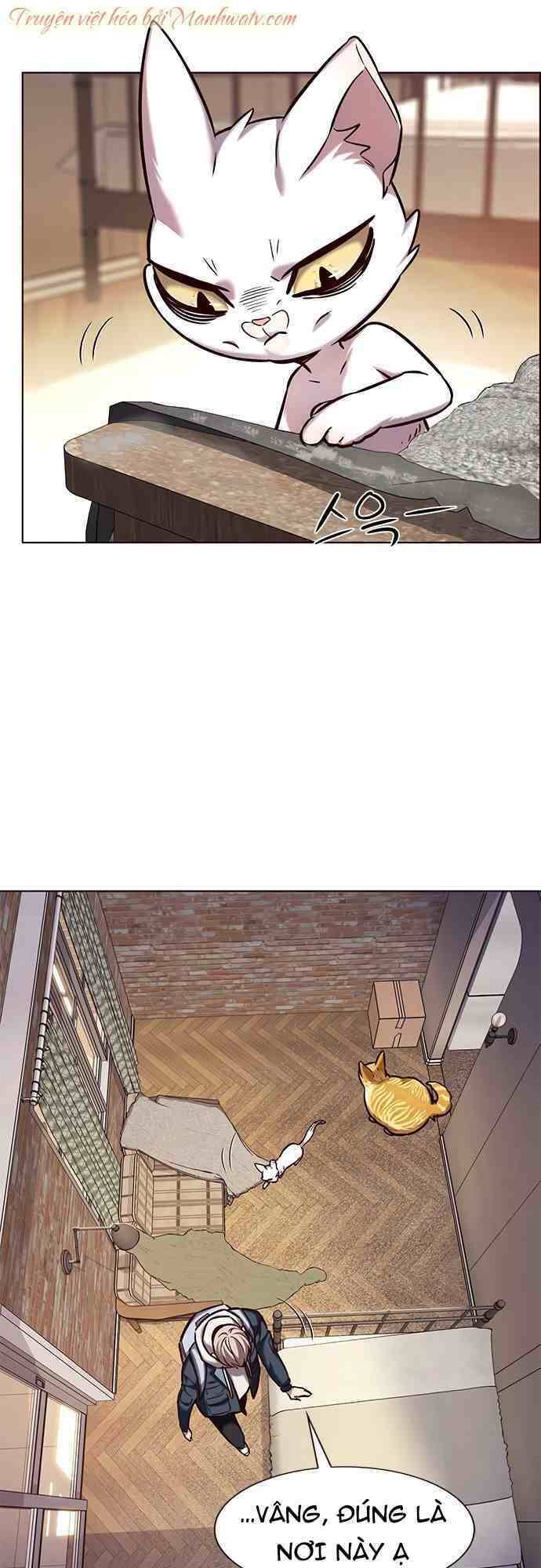 Hoá Thân Thành Mèo - Chapter 231 - Page 34