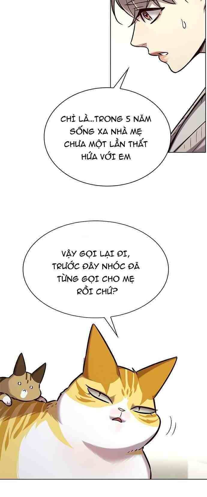 Hoá Thân Thành Mèo - Chapter 231 - Page 5