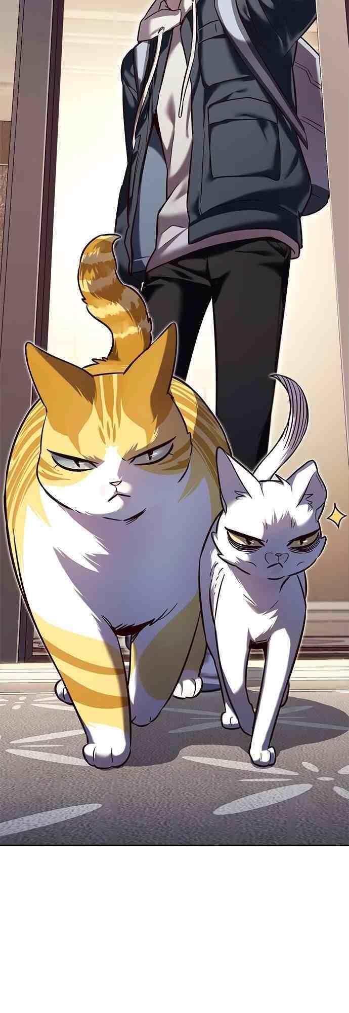 Hoá Thân Thành Mèo - Chapter 231 - Page 54