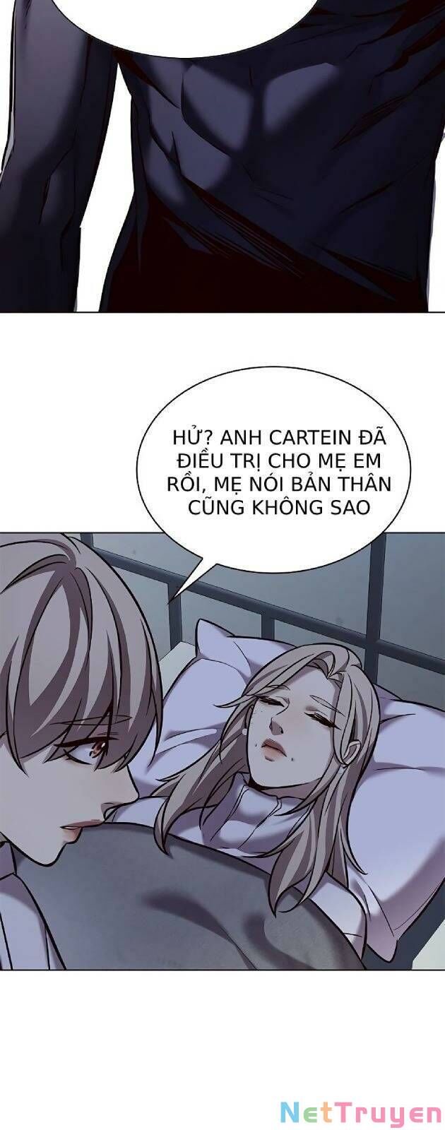 Hoá Thân Thành Mèo - Chapter 238 - Page 11