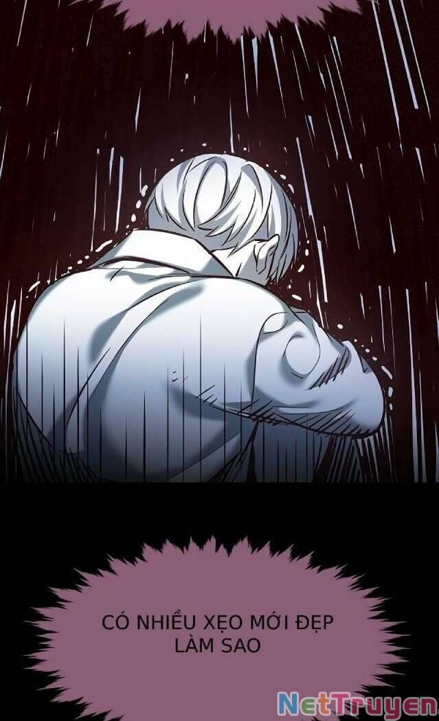 Hoá Thân Thành Mèo - Chapter 238 - Page 24