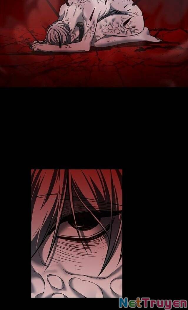 Hoá Thân Thành Mèo - Chapter 238 - Page 27