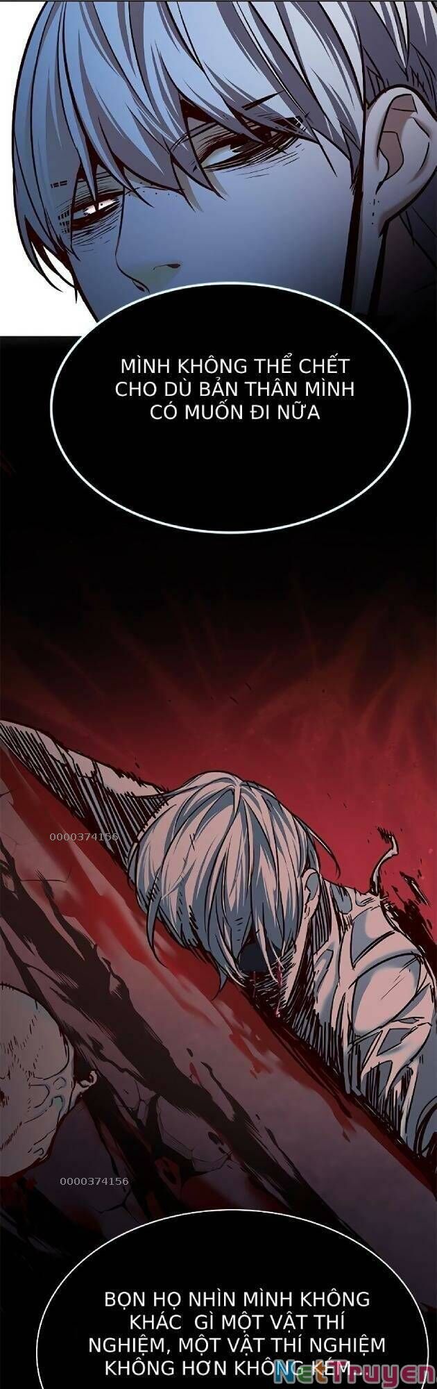 Hoá Thân Thành Mèo - Chapter 238 - Page 40