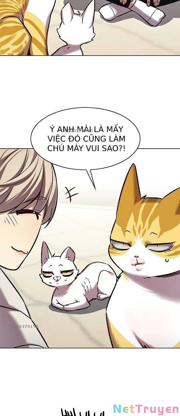 Hoá Thân Thành Mèo - Chapter 239 - Page 14