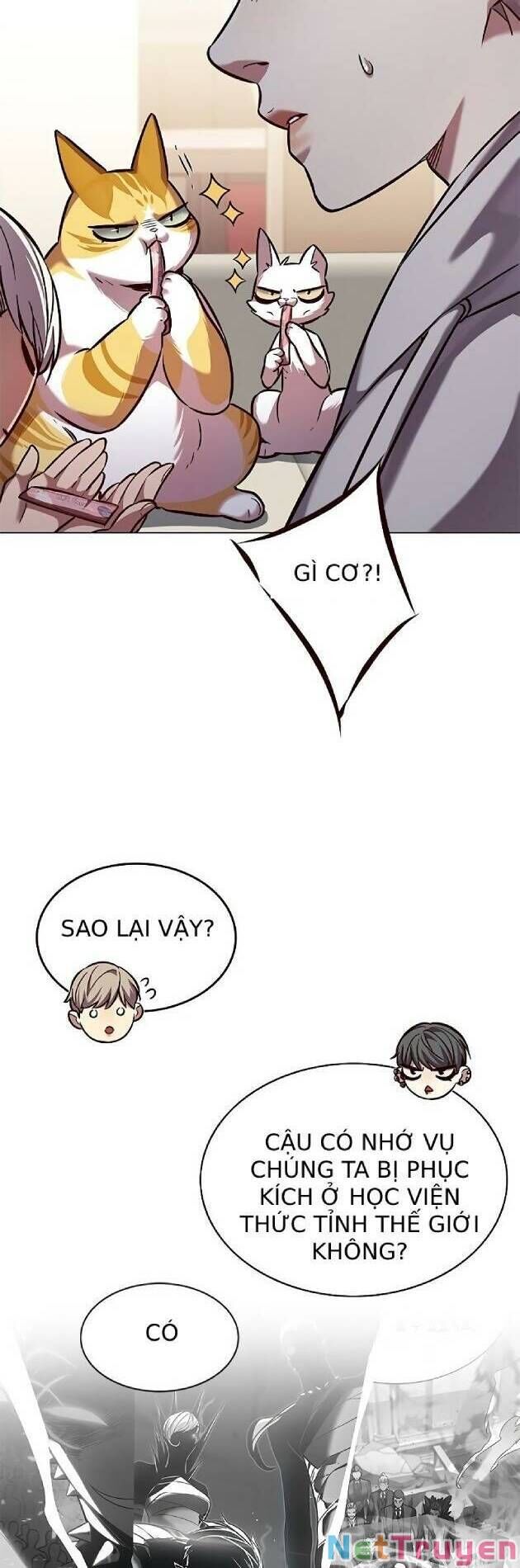 Hoá Thân Thành Mèo - Chapter 239 - Page 21