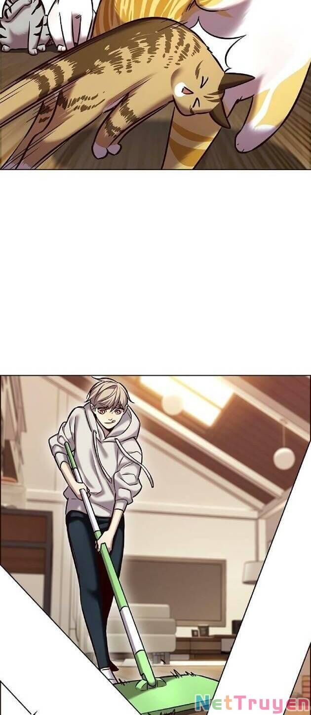 Hoá Thân Thành Mèo - Chapter 239 - Page 3