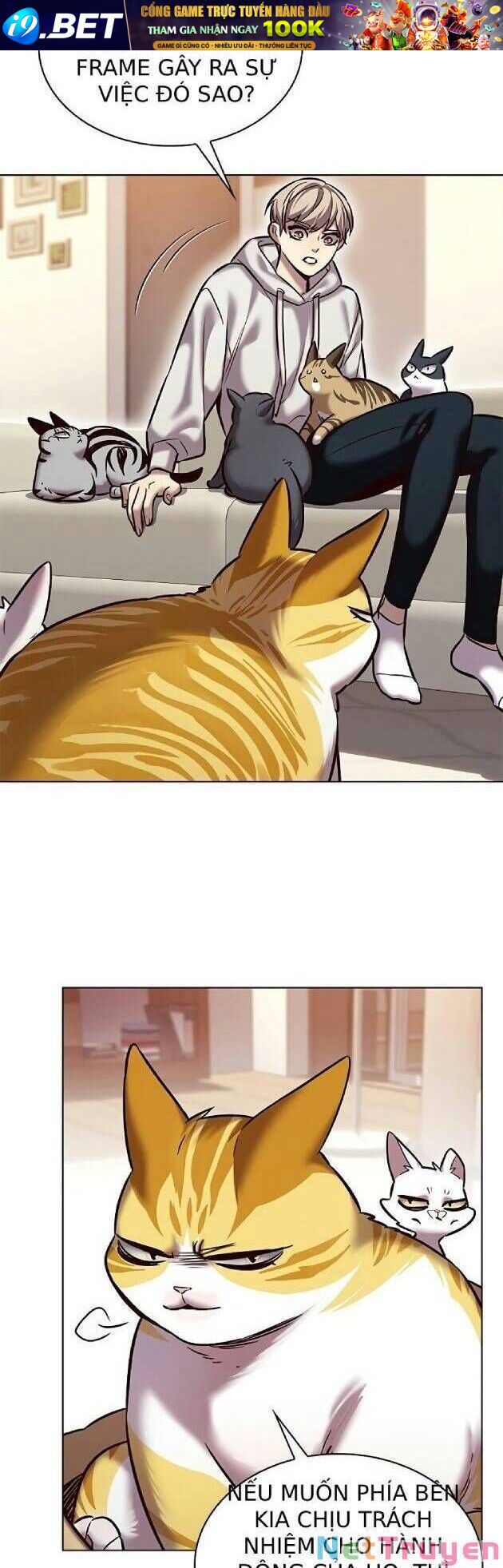Hoá Thân Thành Mèo - Chapter 239 - Page 31