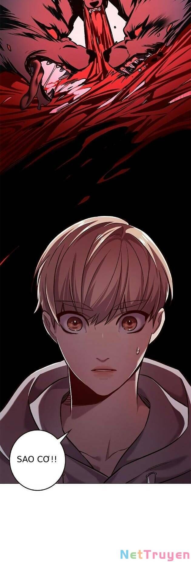 Hoá Thân Thành Mèo - Chapter 239 - Page 37