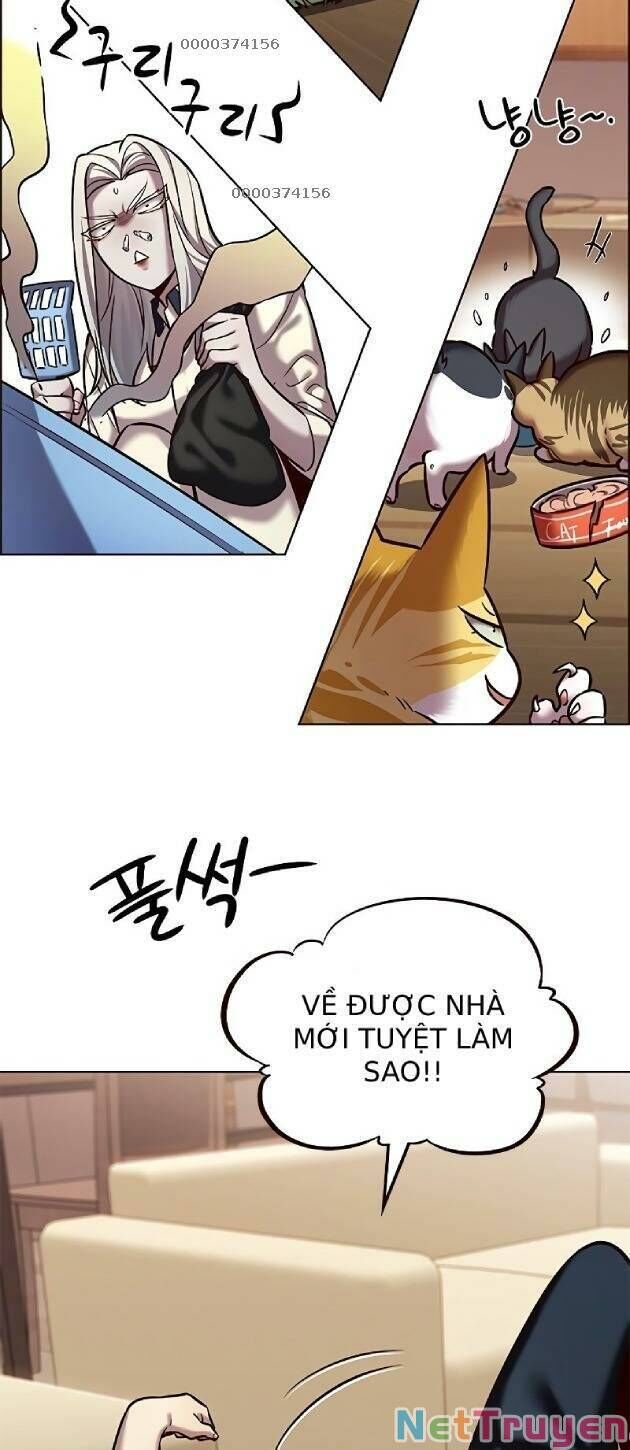 Hoá Thân Thành Mèo - Chapter 239 - Page 4
