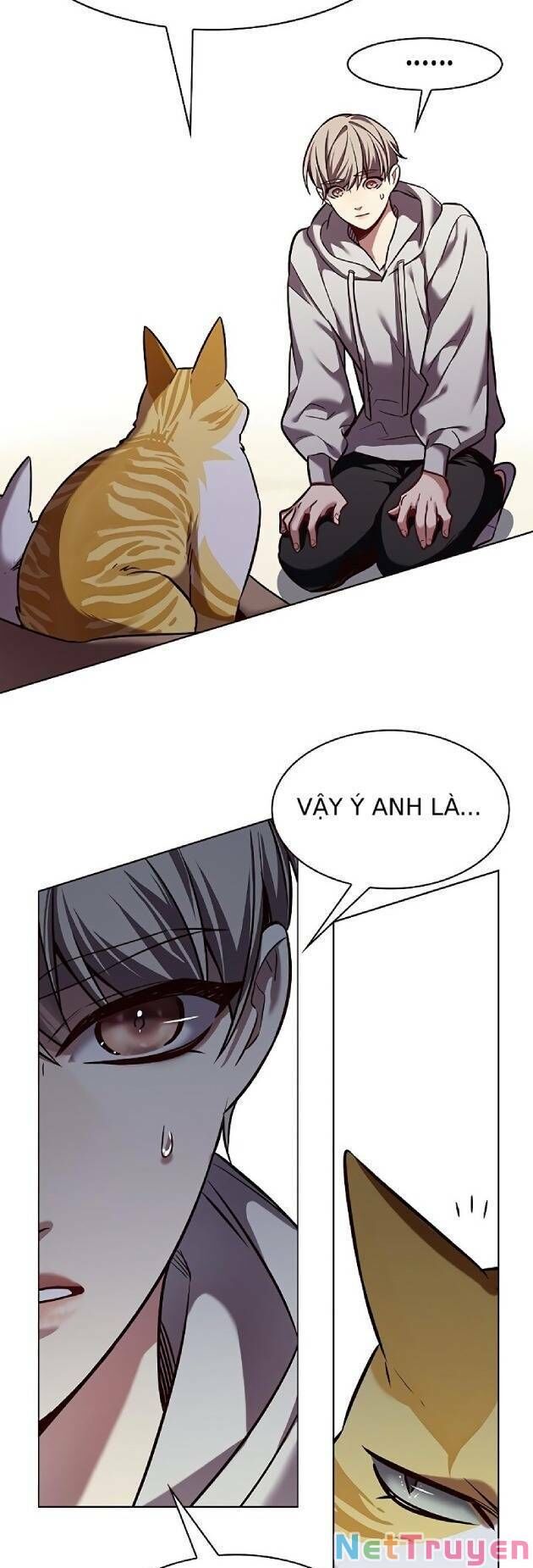 Hoá Thân Thành Mèo - Chapter 239 - Page 40
